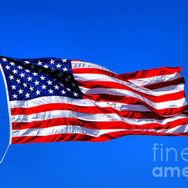 Stars and Stripes Forever by Olivier Le Queinec