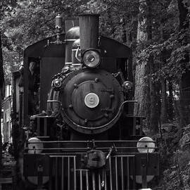 Steam engine train by Flees Photos