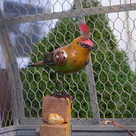 Steampunk Metal Bird with Egg by Richard Reeve