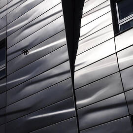 Steel Currents by Rona Black