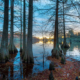 Steinhagen Reservoir Vertical by David Morefield