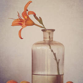Still life with apricots by Diana Kraleva