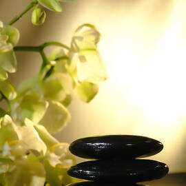 Stone Cairn and Orchids by Olivier Le Queinec
