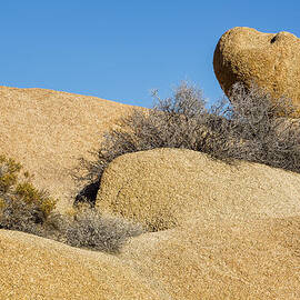 Stone by Kelley King