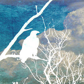 Storm Clouds Brewing by Georgia Clare