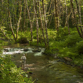 Stream Trout Fishing by Jean Noren