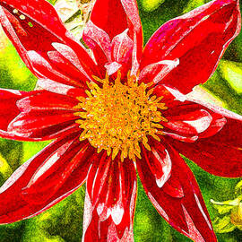 Summer Gerbera. 2014. by Joe Schofield