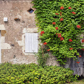 Summer Home by Georgia Clare