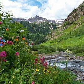 Summer in the San Juans by Cascade Colors