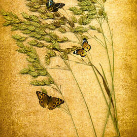 Summer Meadow by Jan Bickerton