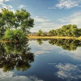 Summer Pond by Tom Grubbe