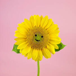 Sunflower Smiley Face by Juj Winn