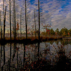 Sunrise along the Mullica river in Pinelands by Louis Dallara