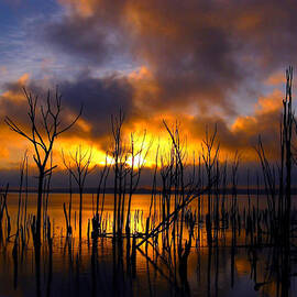 Sunrise by Raymond Salani III