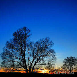 Sunset at Valley Forge by Olivier Le Queinec