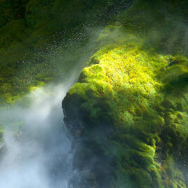 Surrounded by Mist by Mary Lee Dereske