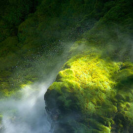 Surrounded by Mist   Vertical by Mary Lee Dereske