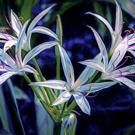 Swamp Lilies by Steven Sparks