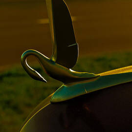 Swan Song by Louis Dallara