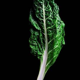 Swiss Chard by Romulo Yanes