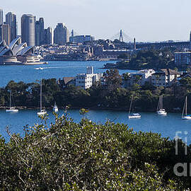 Sydney Harbour by Steven Ralser