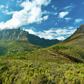 Table Mountain Cape Town Panorama by Ferrantraite