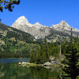 Taggart Lake by Stacy Abbott