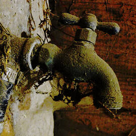 Tapped Out by Richard Reeve