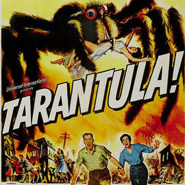 Tarantula by Georgia Clare