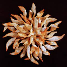 Tea And Honey Cookies by Romulo Yanes