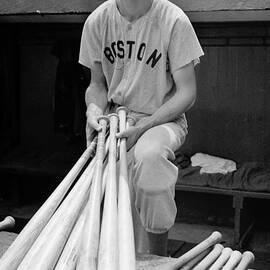 Ted Williams by Gianfranco Weiss