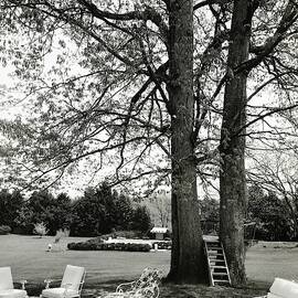 Terrace And Lawn Of Hickory Hill by Tom Leonard