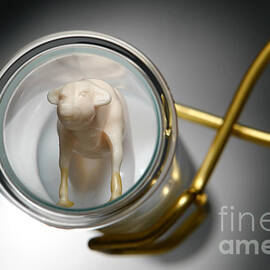 Test Tube Calf by Olivier Le Queinec