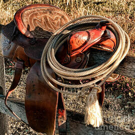 Texas Morning by Olivier Le Queinec