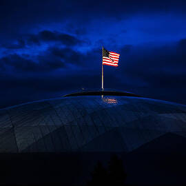 The Banner Still Waves by Mary Jo Allen