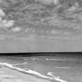 The Beach At Hobe Island by Serge Balkin