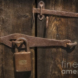 The Best Of Locks by Susan Candelario