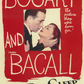 The Big Sleep by Georgia Clare