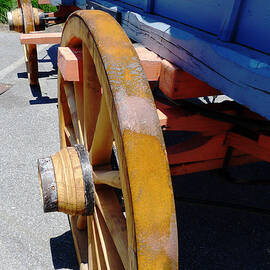 The Blue Wagon by Richard Reeve