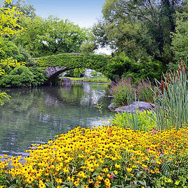 The Bridge by Craig Gordon