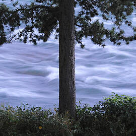 The Bulkley River by Mary Lee Dereske