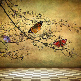 The Butterfly Room by Jessica Jenney