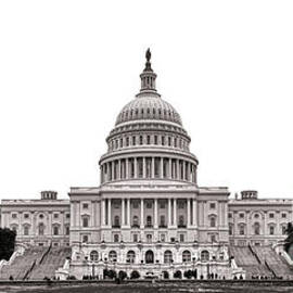 The Capitol by Olivier Le Queinec