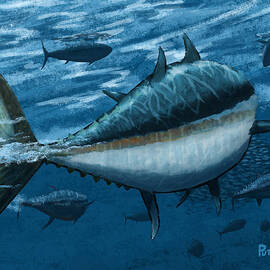 The Chase by Kevin Putman