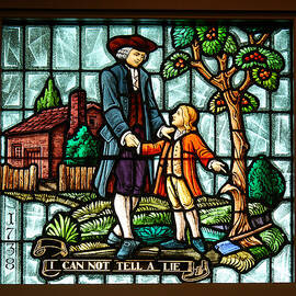 The Cherry Tree by Richard Reeve