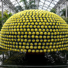 The Chrysanthemum Tree by Richard Reeve