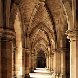 The Cloisters by Grant Glendinning