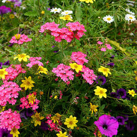 The Cottage Garden by Richard Reeve