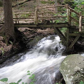 The Crossing by Richard Reeve