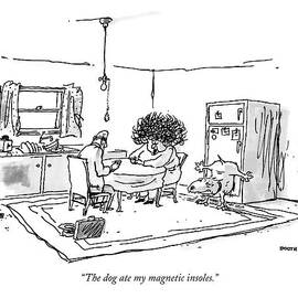 The Dog Ate My Magnetic Insoles by George Booth